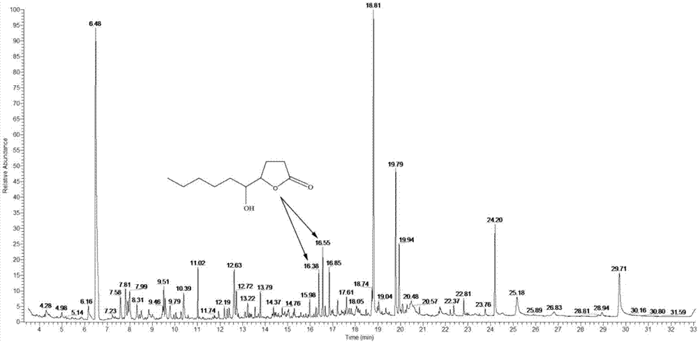 Bacterial strain for producing 5-hydroxyl-4-decalactone and application of bacterial strain