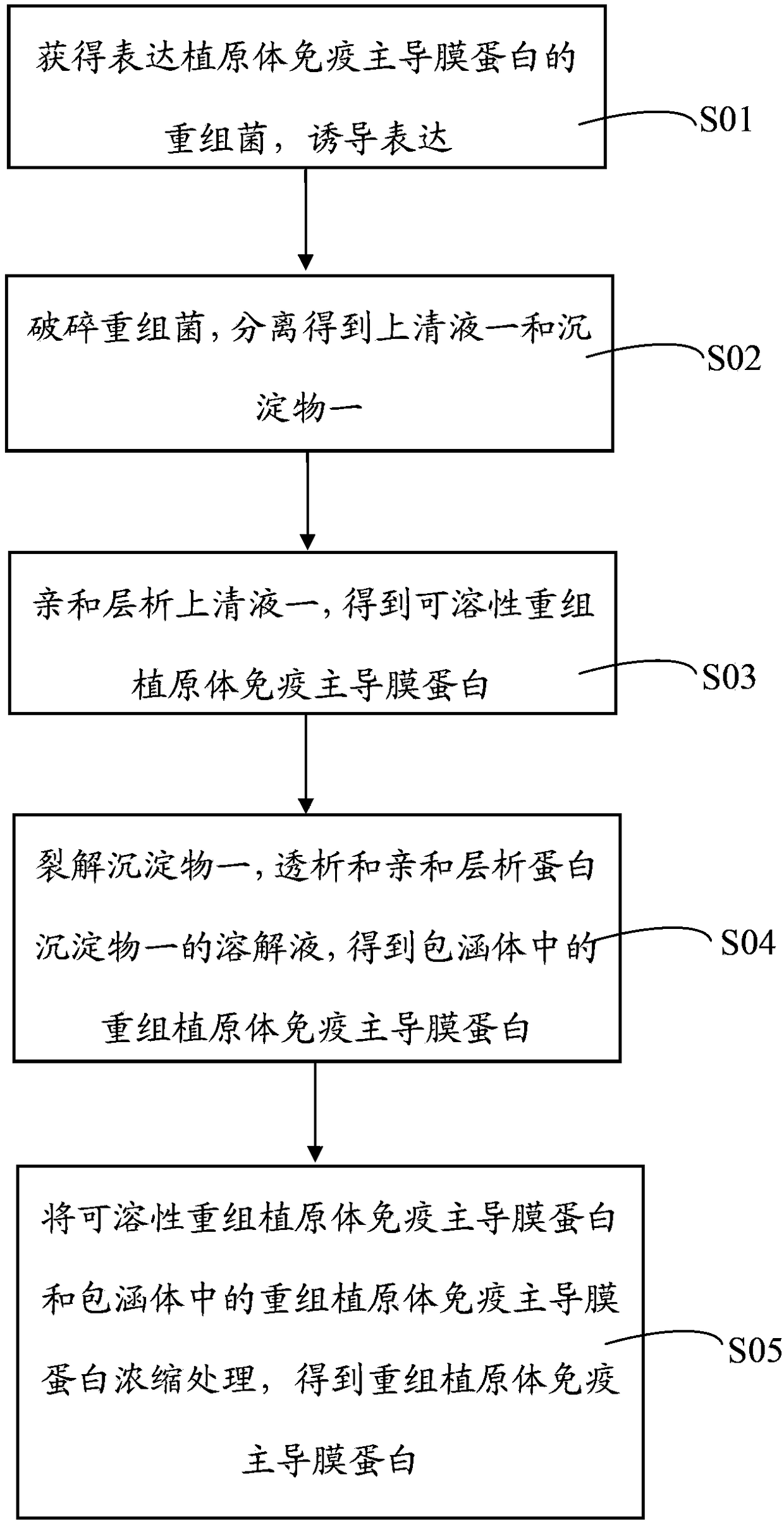 Purification method and application of recombinant phytoplasma immune dominant membrane protein