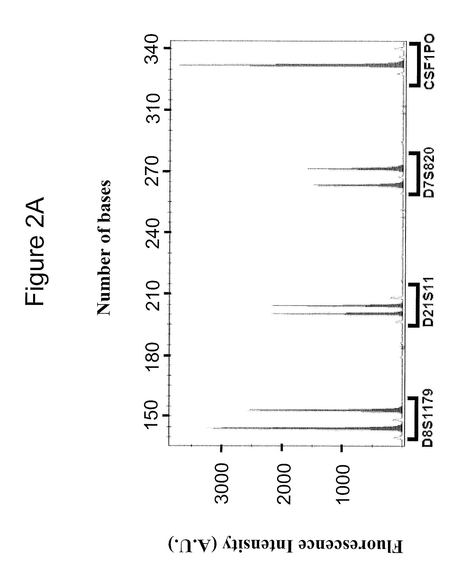 Method For Recovering Nucleic Acid From A Mixed Cell Suspension, Without Centrifugation