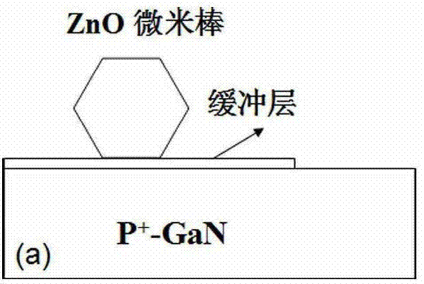 Preparation method of WGM (whispering gallery mode) ZnO ultraviolet micro-laser for constructing electric pump