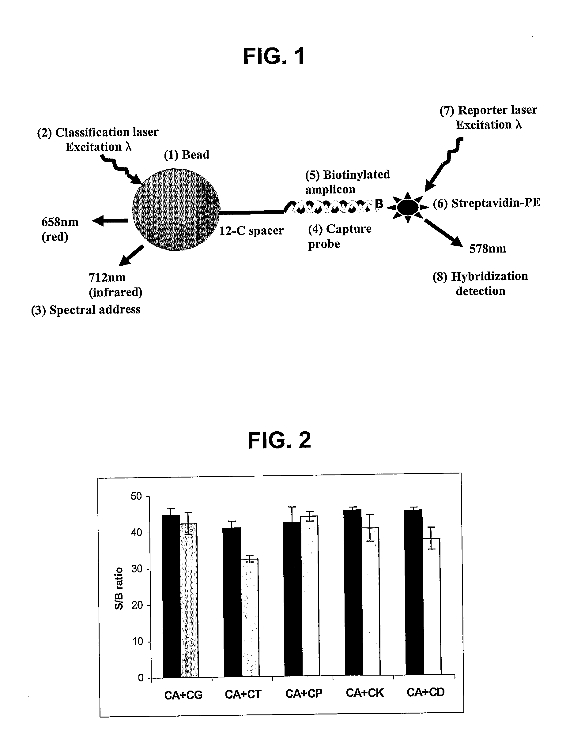 Compositions and Methods for the Detection of Candida Species