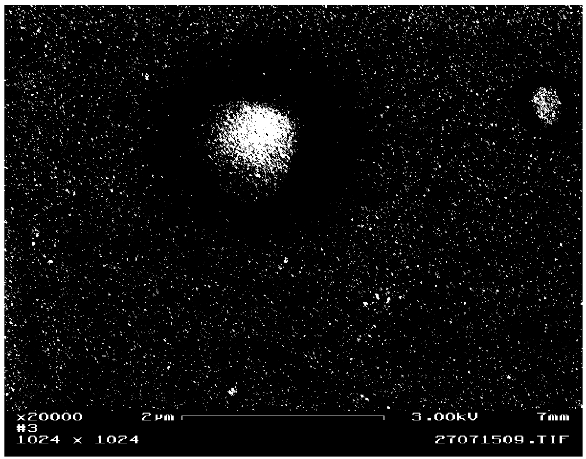 Method for preparing porous nano-copper structure