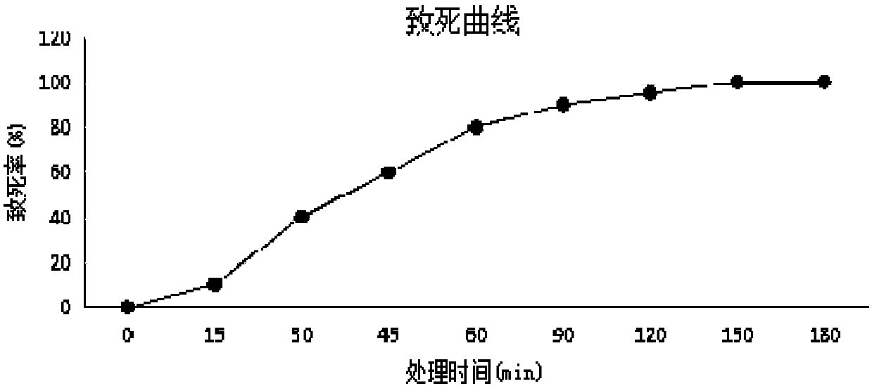 Clostridium butyricum agent with strong butyric acid resistance and stress resistance and application thereof