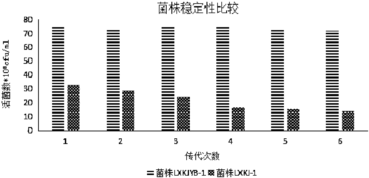 Clostridium butyricum agent with strong butyric acid resistance and stress resistance and application thereof