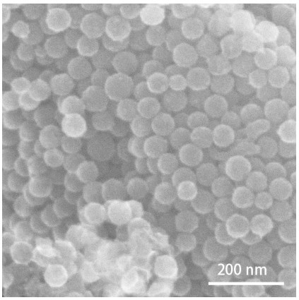 Nitrogen-doped porous carbon sphere/S composite material, preparation method thereof and application of nitrogen-doped porous carbon sphere/S composite material in lithium-sulfur battery