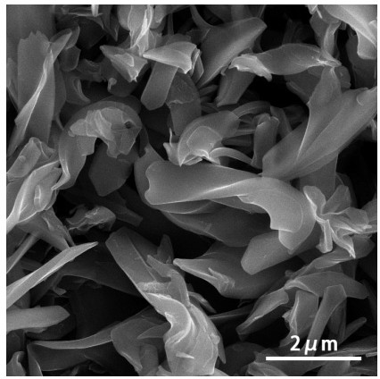 Nitrogen-doped porous carbon sphere/S composite material, preparation method thereof and application of nitrogen-doped porous carbon sphere/S composite material in lithium-sulfur battery