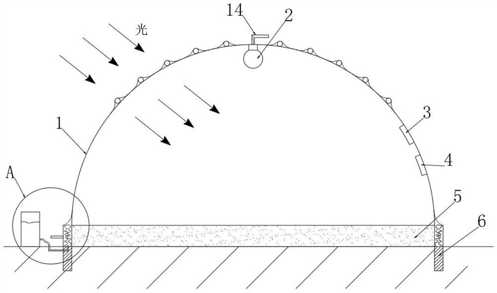 An original seed breeding equipment based on the selection and breeding of rice temperature-sensitive dual-purpose genetic male sterile lines