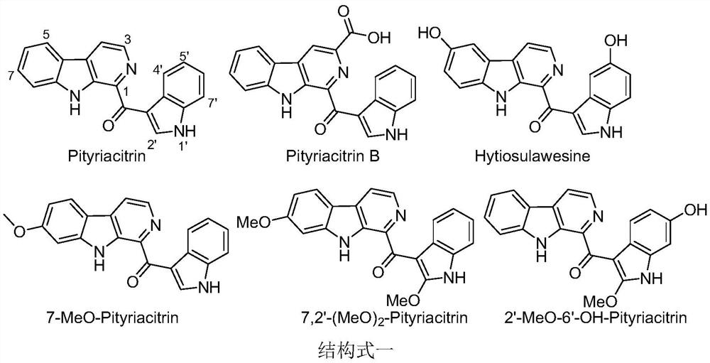 Application of pityriacitrin alkaloids and their derivatives in anti-plant viruses and bacteria