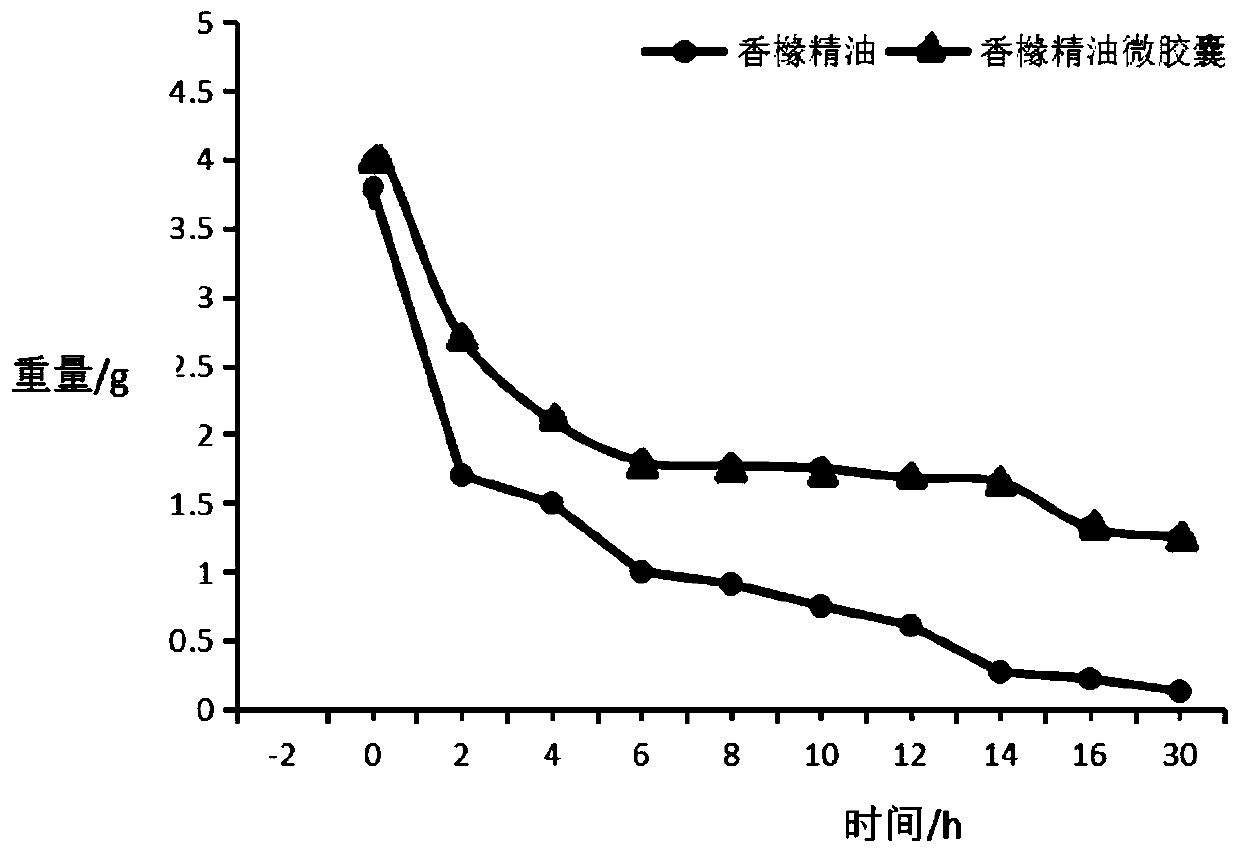 Shampoo containing citron essential oil microcapsules and preparation method of shampoo