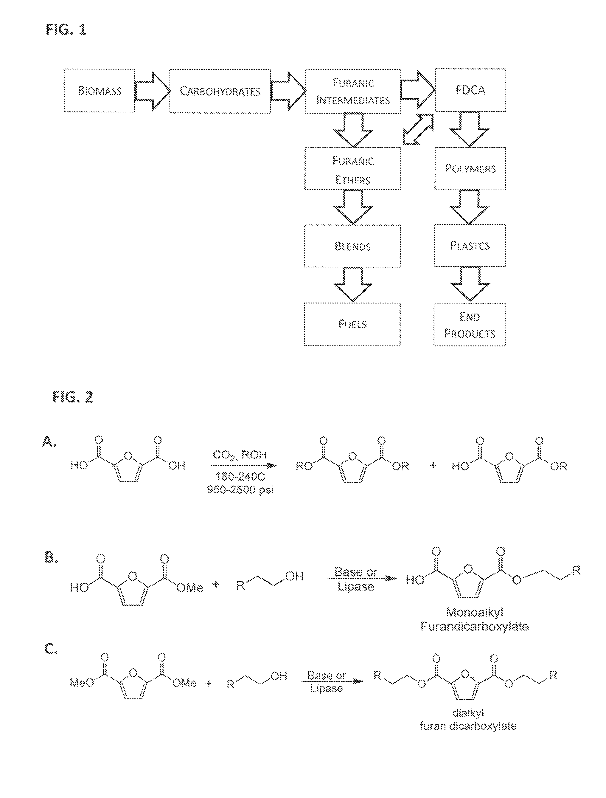 Esterification of 2,5-Furan-Dicarboxylic Acid
