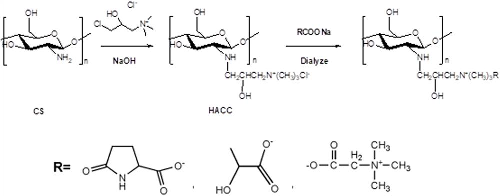 Anionized 2-hydroxypropyltrimethylammonium chloride chitosan and its preparation method and application