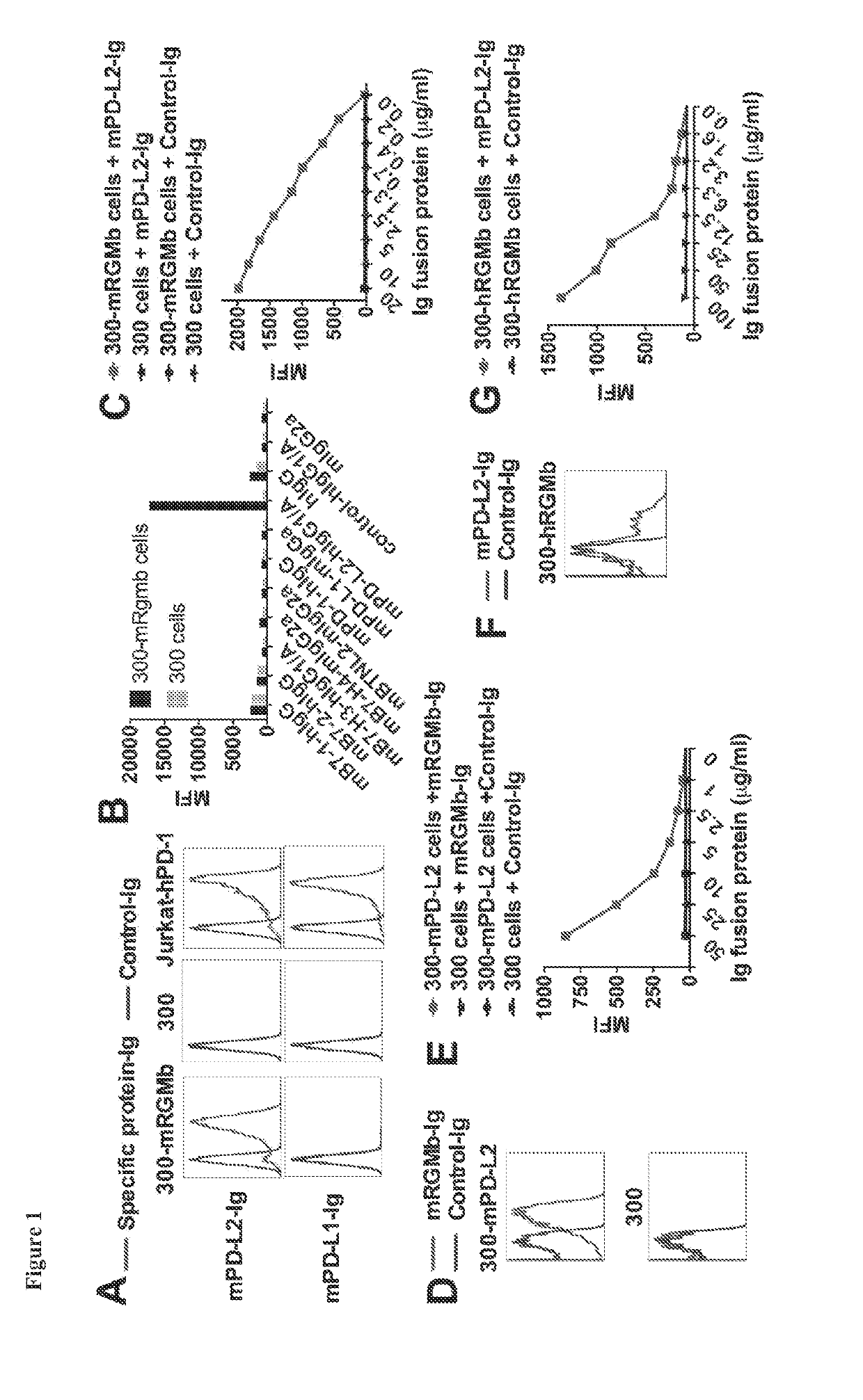 Agents that modulate immune cell activation and methods of use thereof