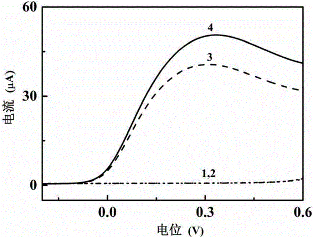 Bovine-serum-albumin-reinforced ascorbic acid/glucose fuel cell and application thereof