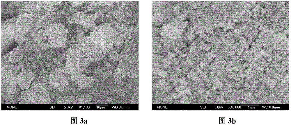 Preparation method and application of molecularly imprinted solid-phase extraction column for sulfa drugs