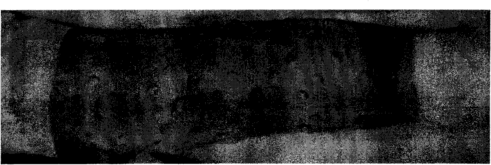 Sterilized heterogeneous medical biomembrane and preparing method thereof