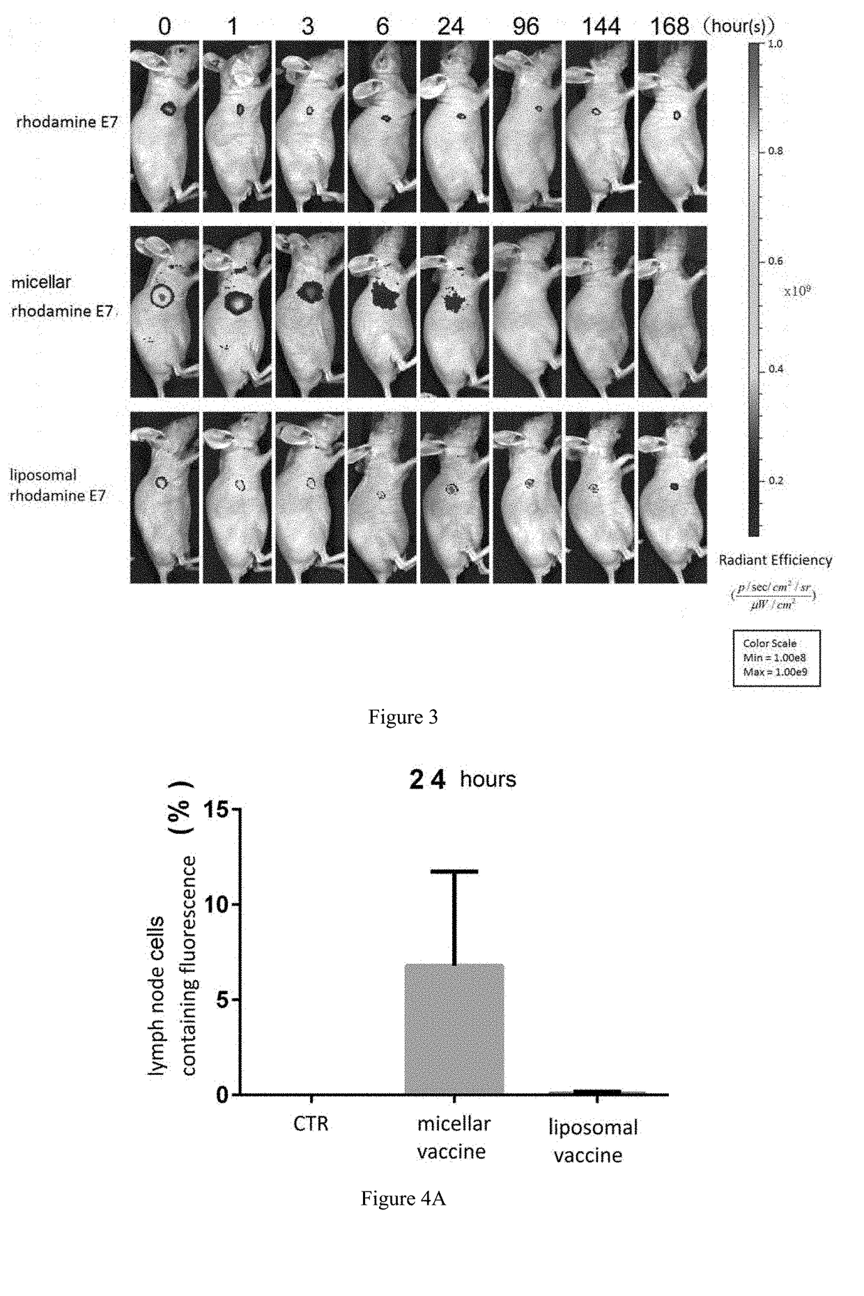 Micellar polypeptide vaccine having pegylated phospholipids as carrier