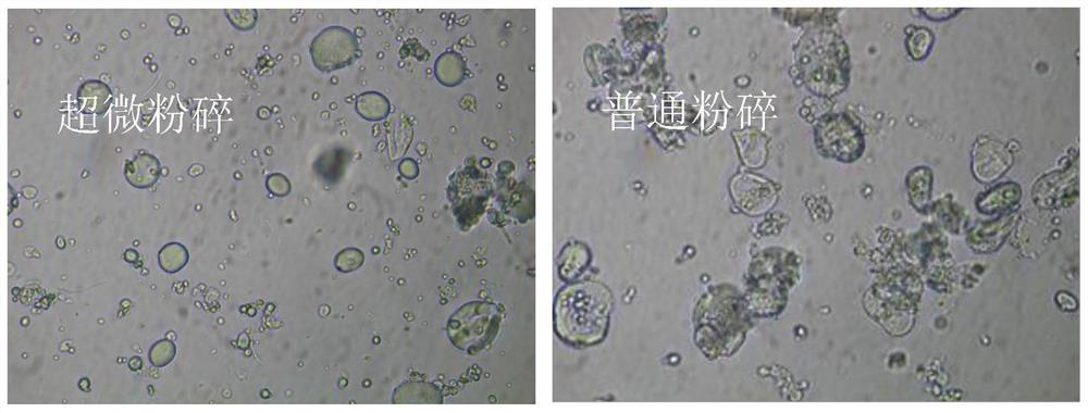 A kind of highland barley liquid milk tea and preparation method thereof