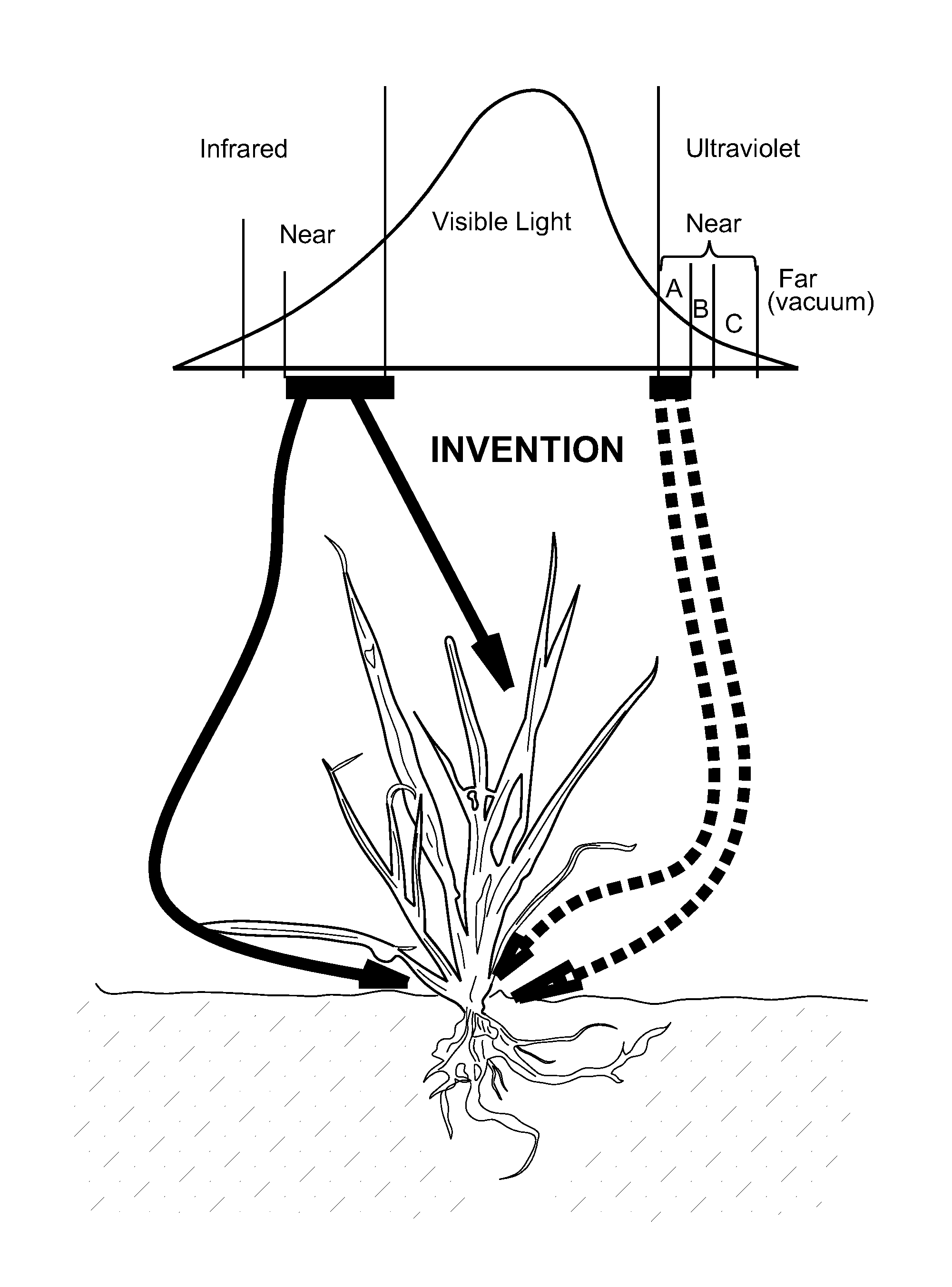 Plant eradication using non-mutating low energy rapid unnatural dual component illumination protocol (RUDCIP) in four parameters
