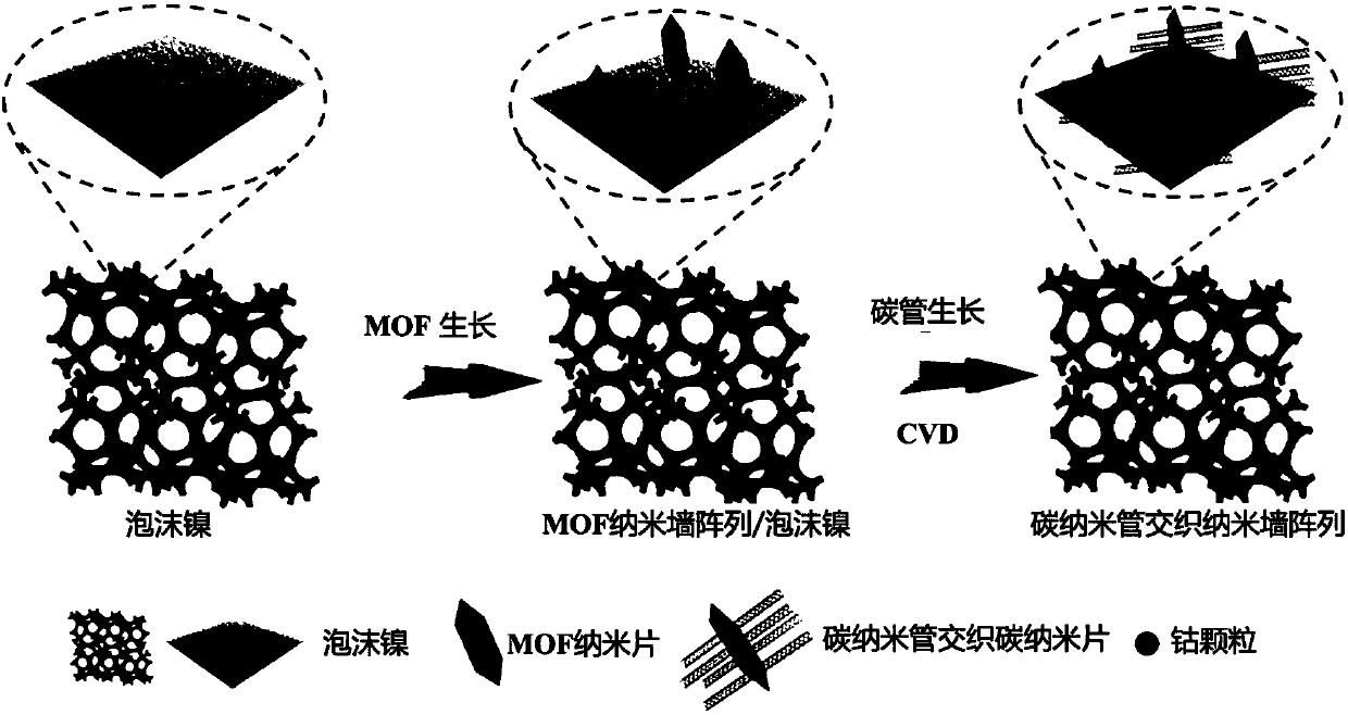 Carbon material used for lithium-sulfur battery and preparation thereof, and applications