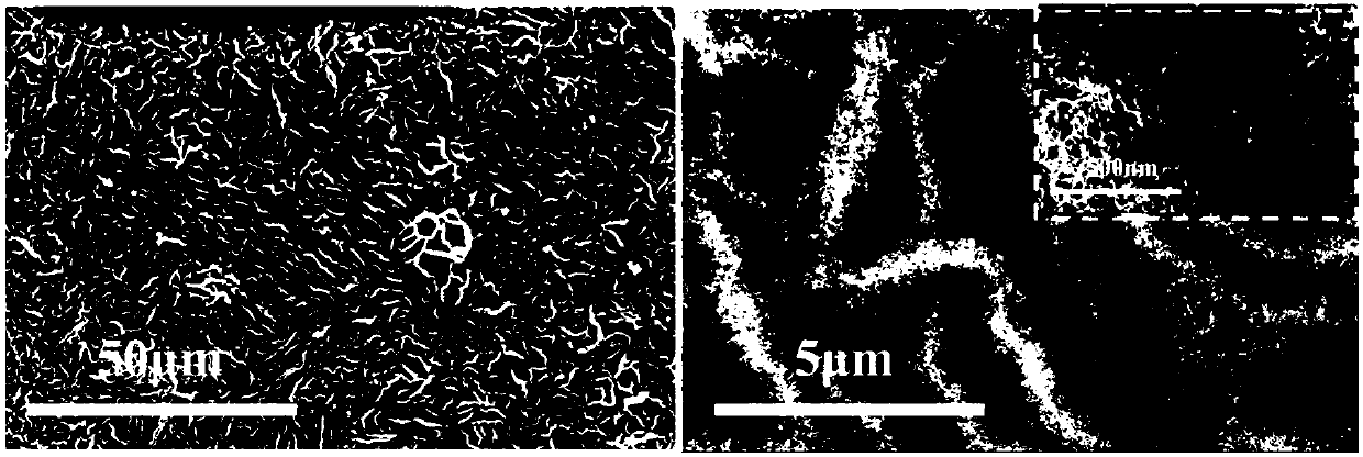 Carbon material used for lithium-sulfur battery and preparation thereof, and applications