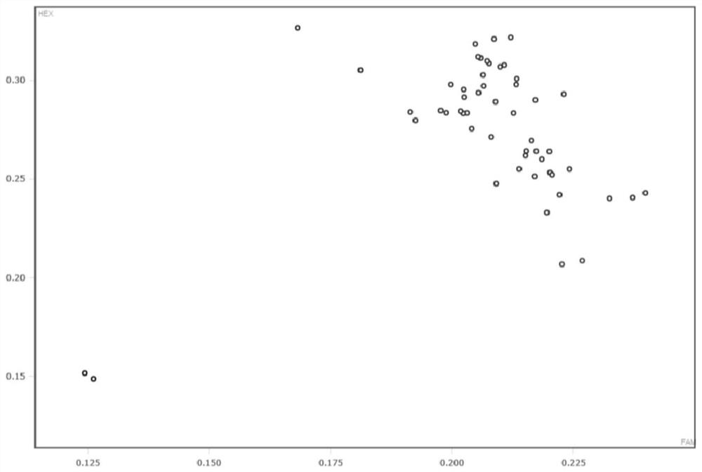 Method, primer set and application thereof for monitoring genetic quality of dba inbred mice