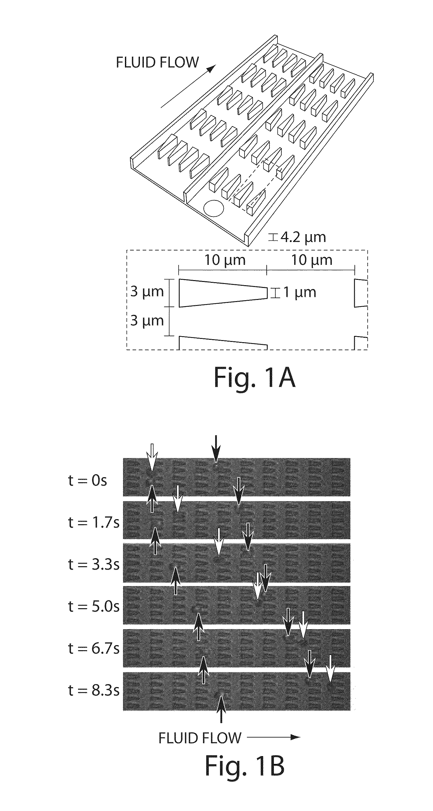 Computational methods and compositions