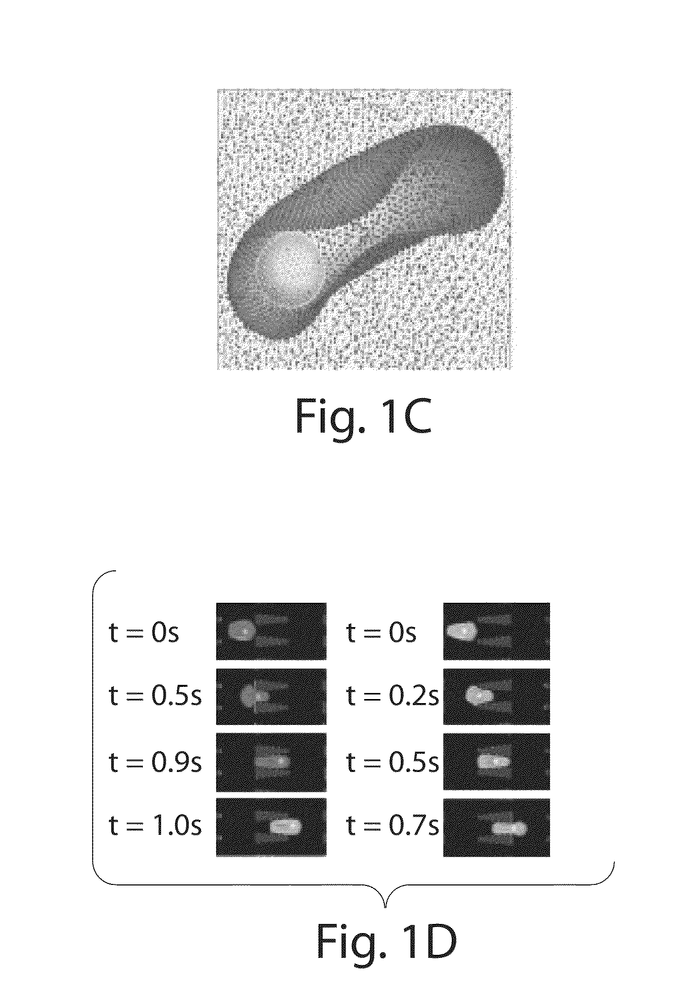 Computational methods and compositions