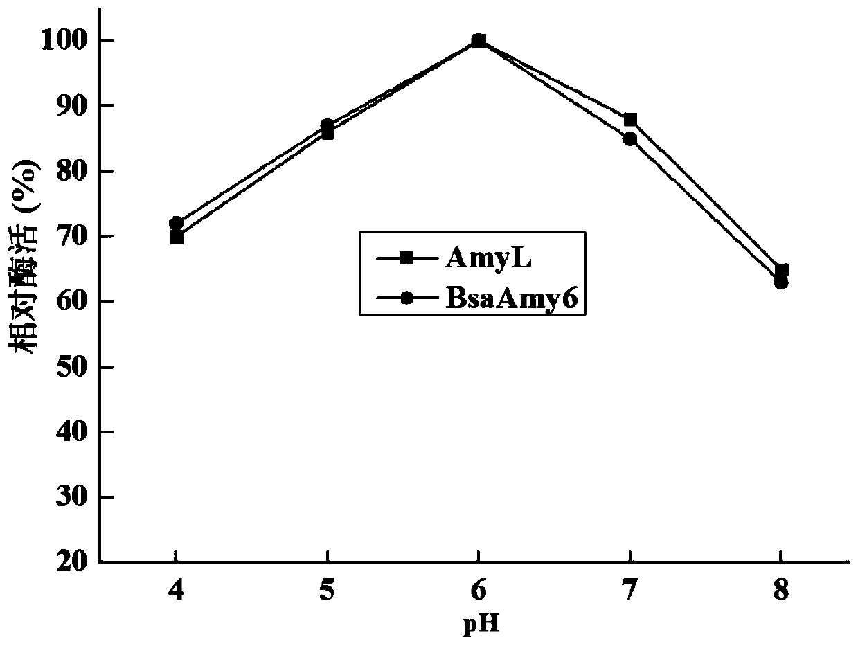 Activity-improved α-amylase amyl mutant and its coding gene and application