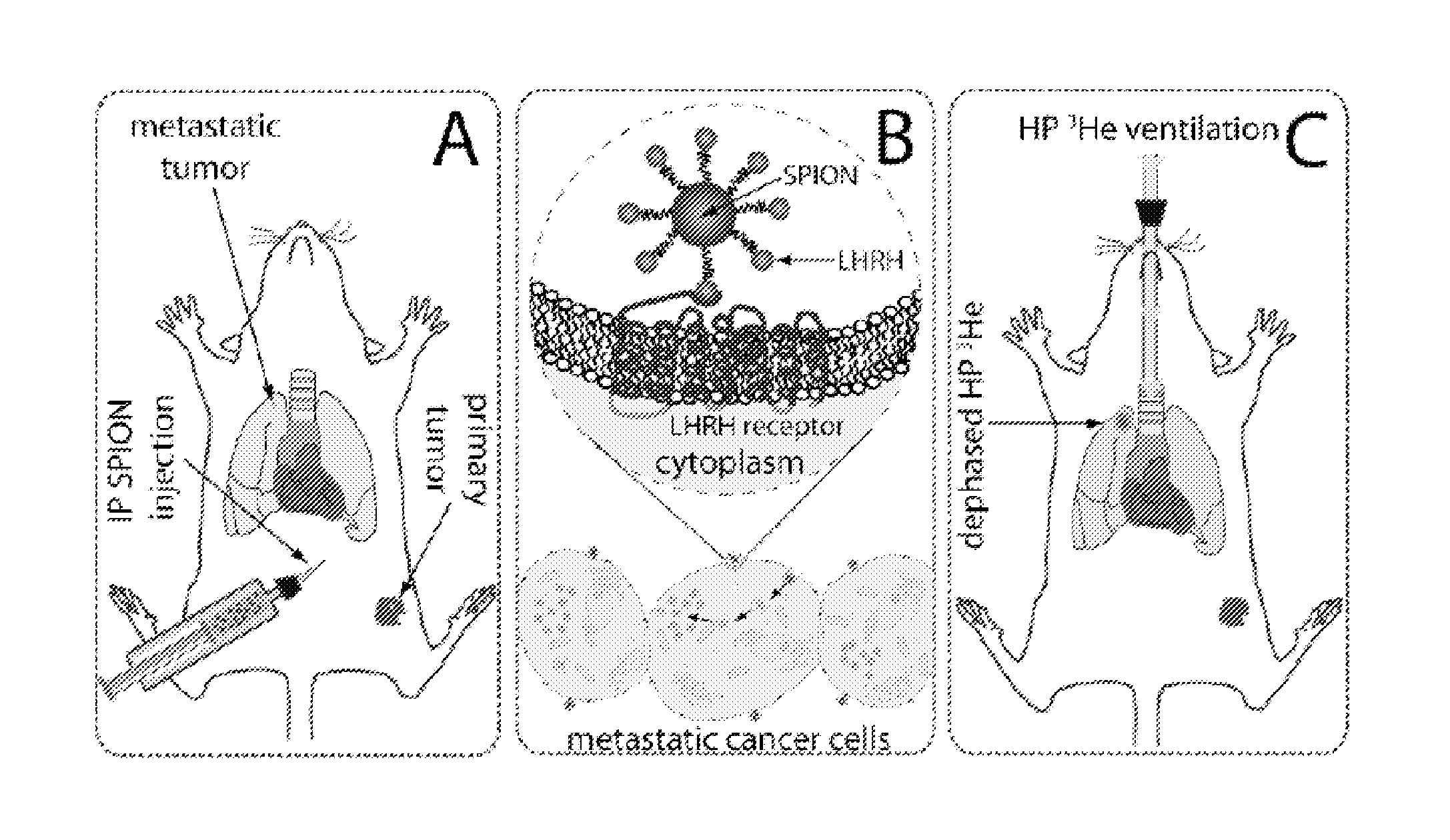 Methods and compositions for molecular imaging