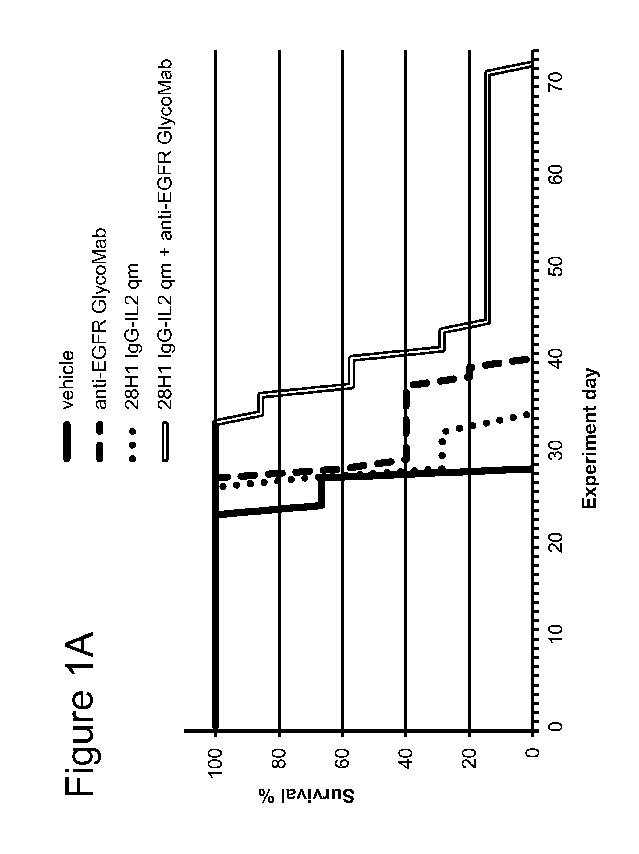 Combination IL-2 immunoconjugate therapy