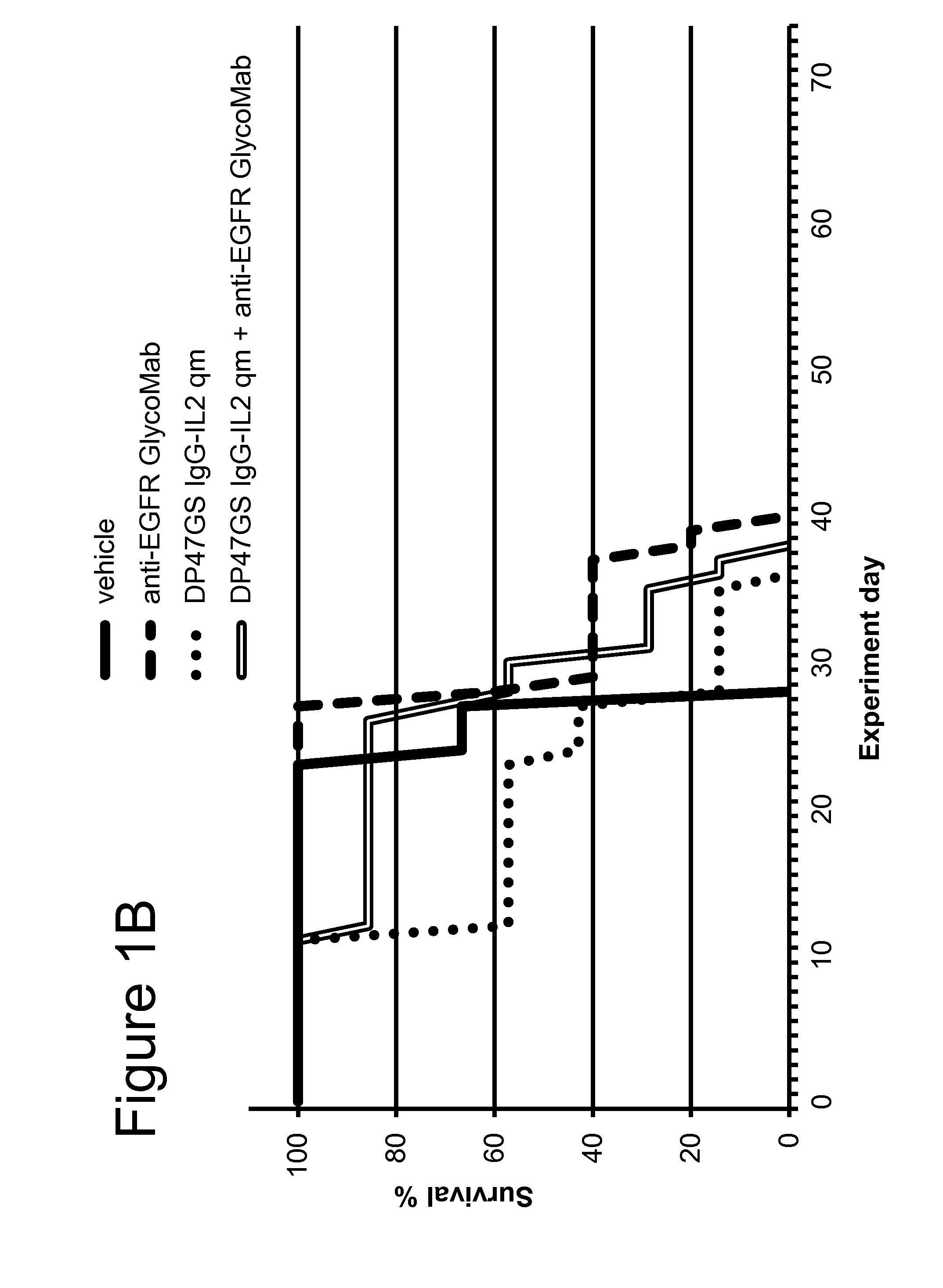 Combination IL-2 immunoconjugate therapy