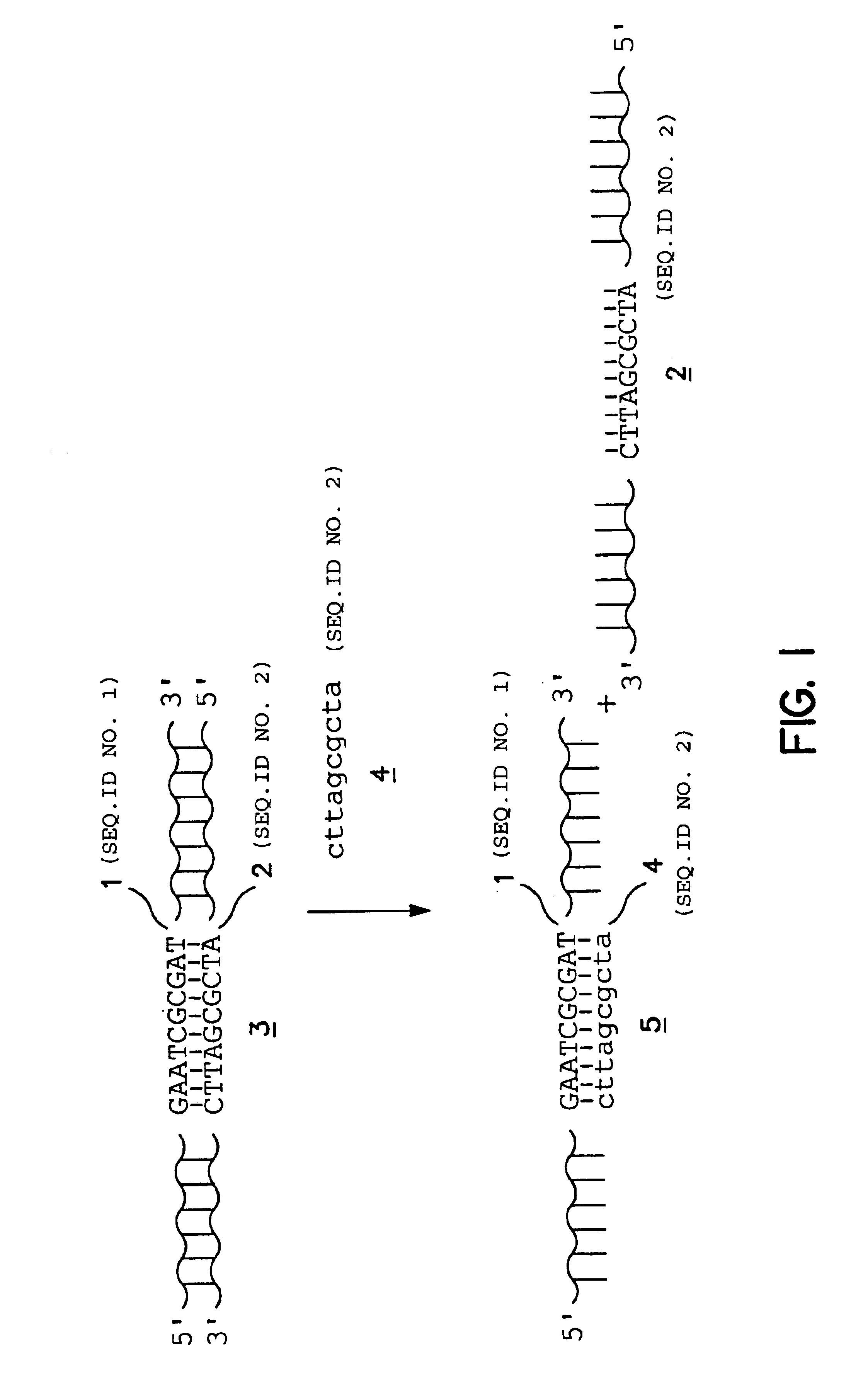 Strand displacement methods employing competitor oligonucleotides for isolating one strand of a double-stranded nucleic acid