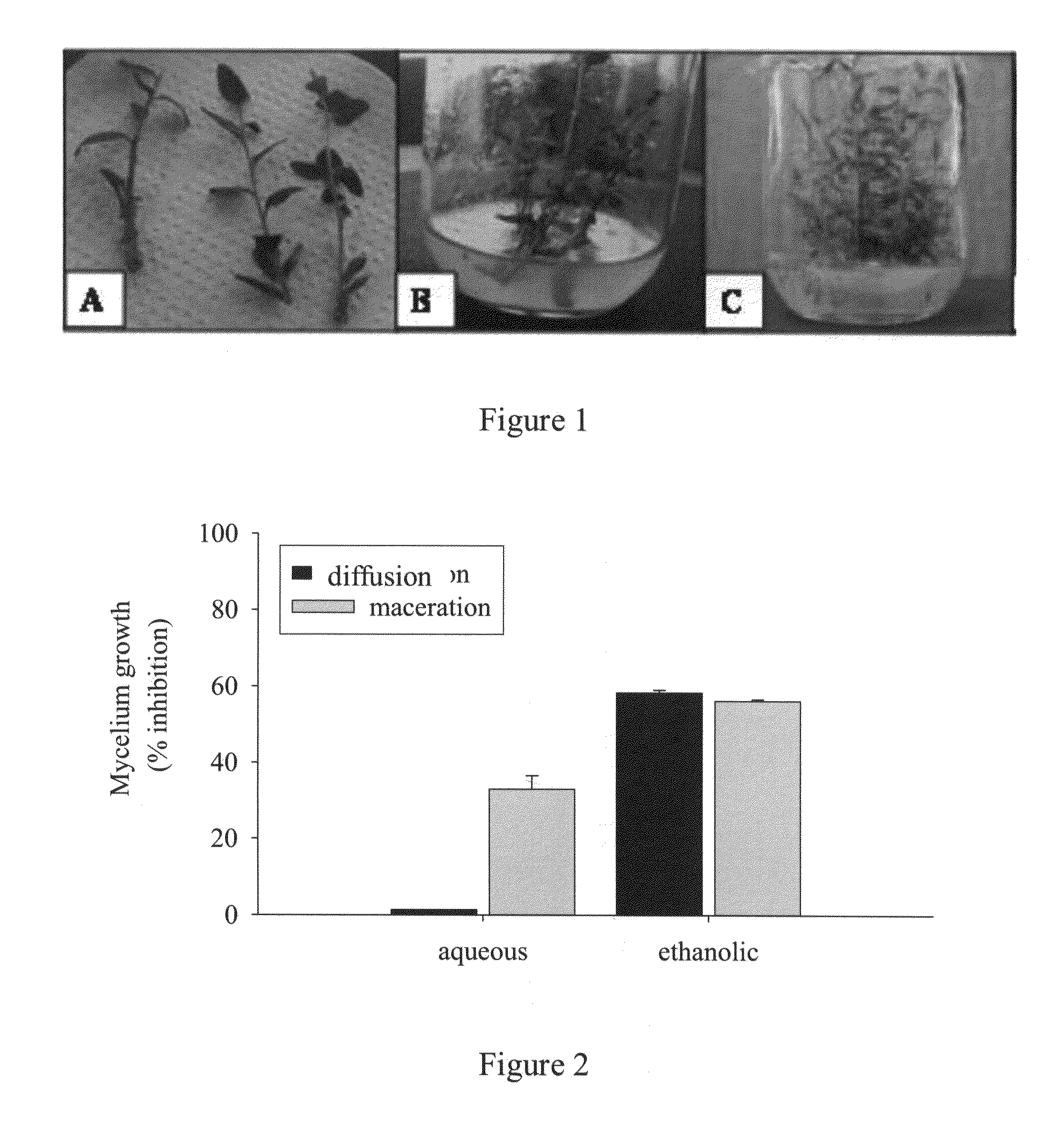 Natural extract for the control of botrytis cinerea at pre- and post-harvest