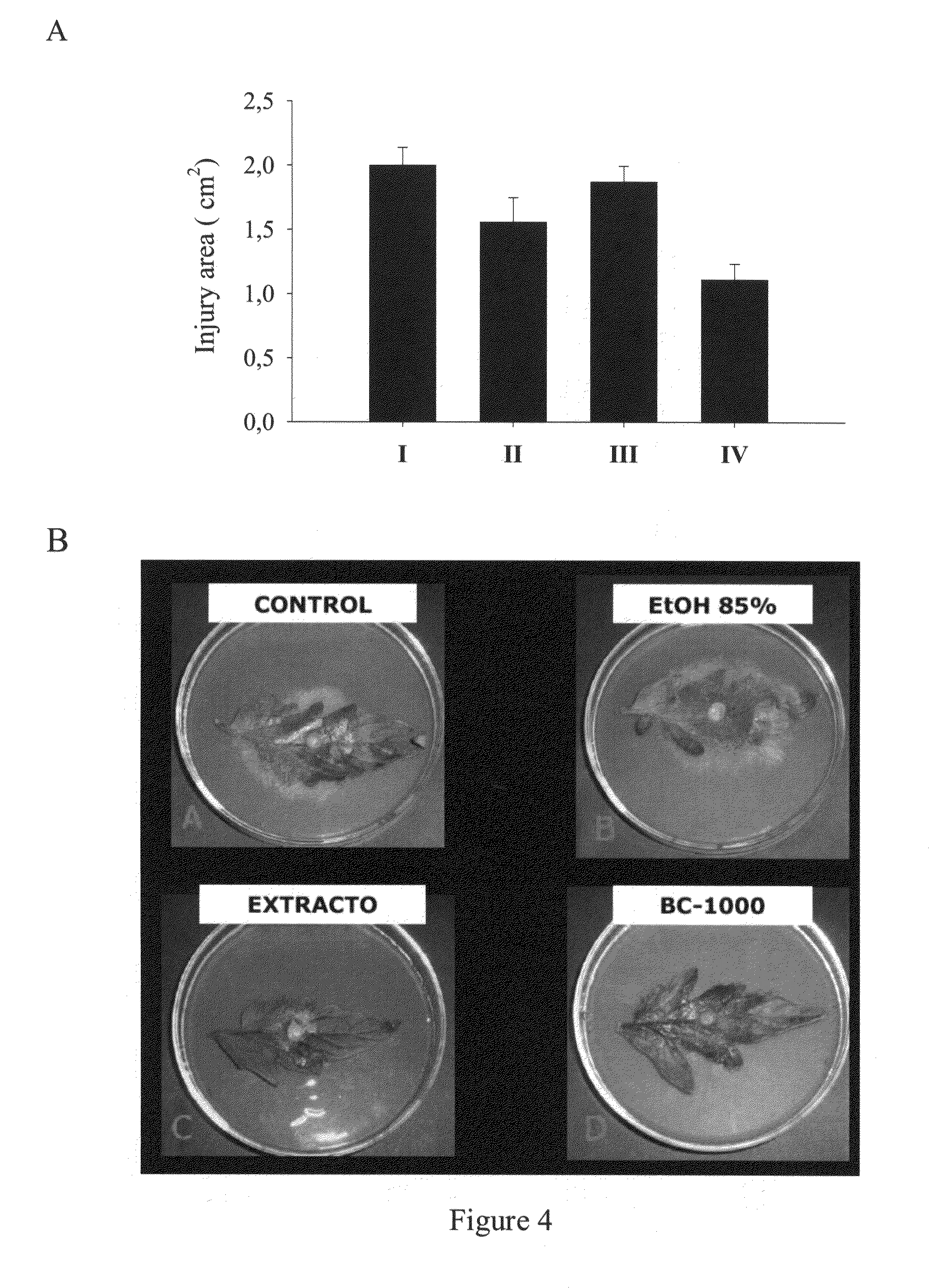 Natural extract for the control of botrytis cinerea at pre- and post-harvest