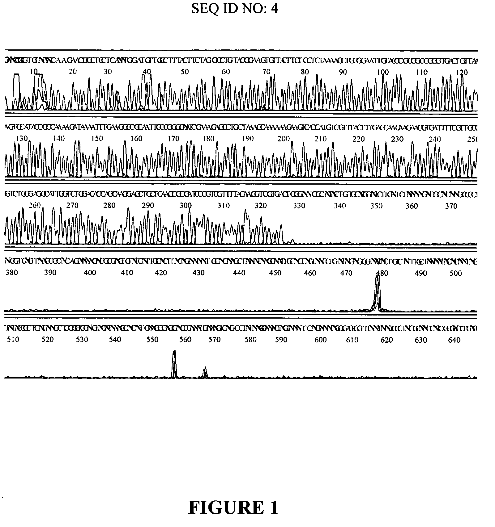 Multiply-primed amplification of nucleic acid sequences