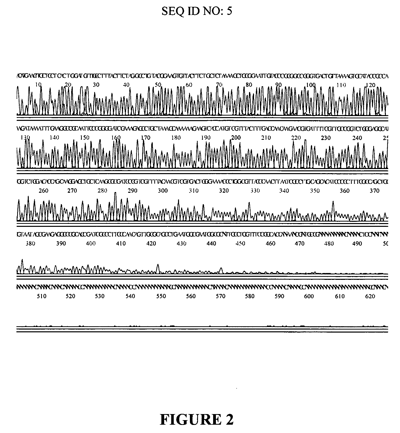 Multiply-primed amplification of nucleic acid sequences