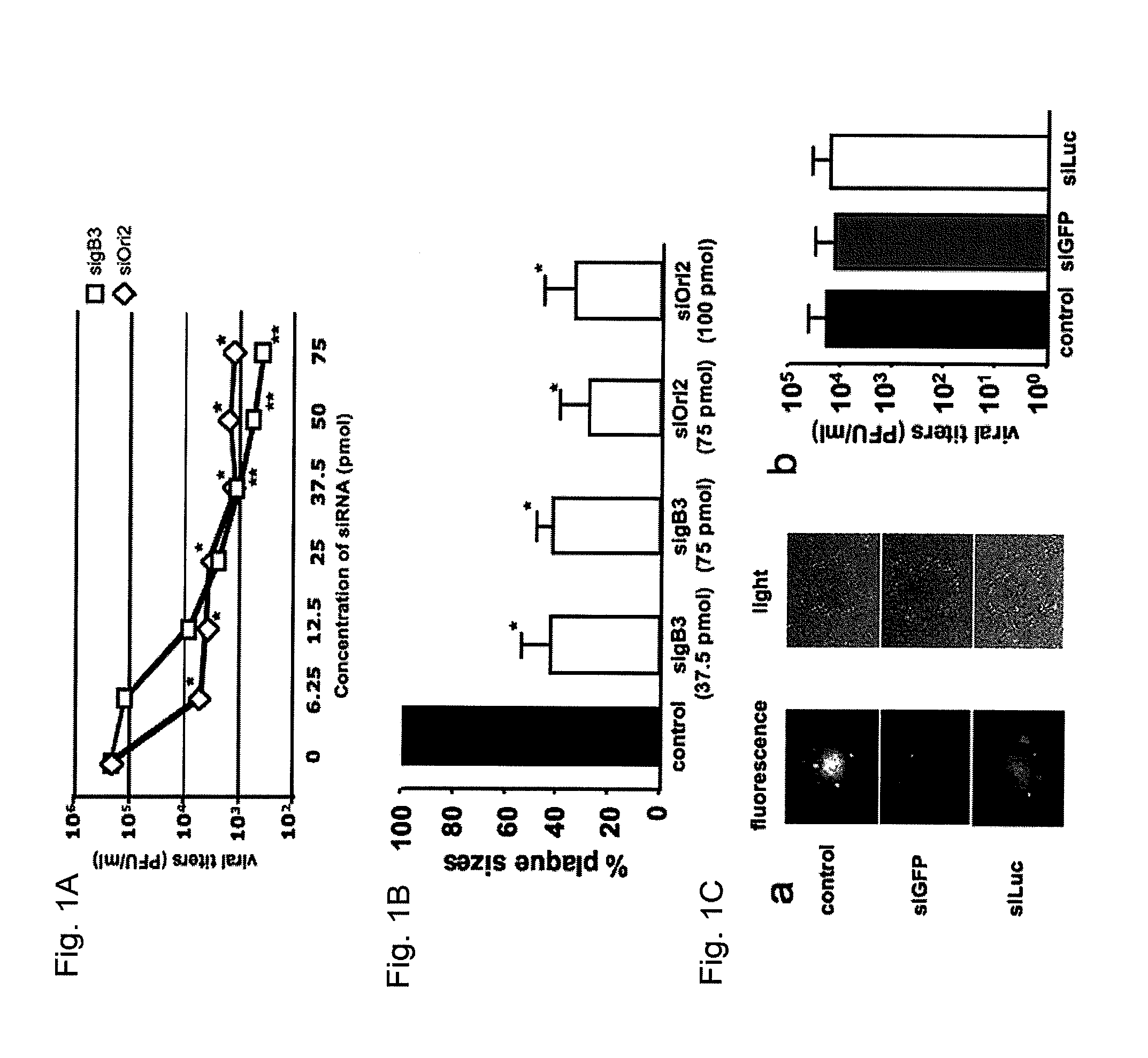 Method for Prophylaxis and Treatment of Equine Herpesvirus Type 1 Infections