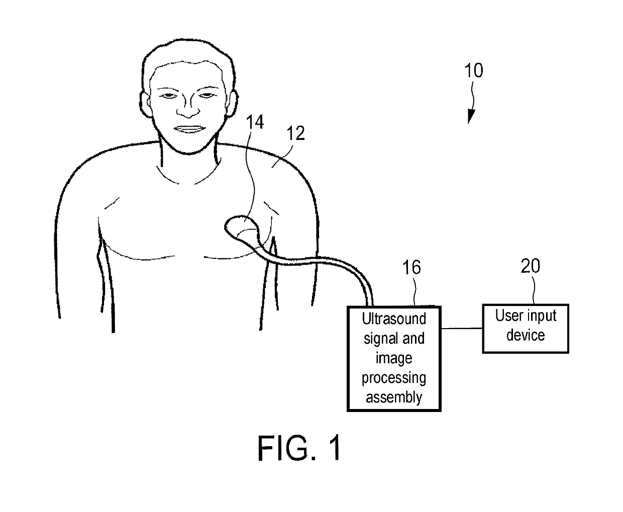 Elastography measurement system and method