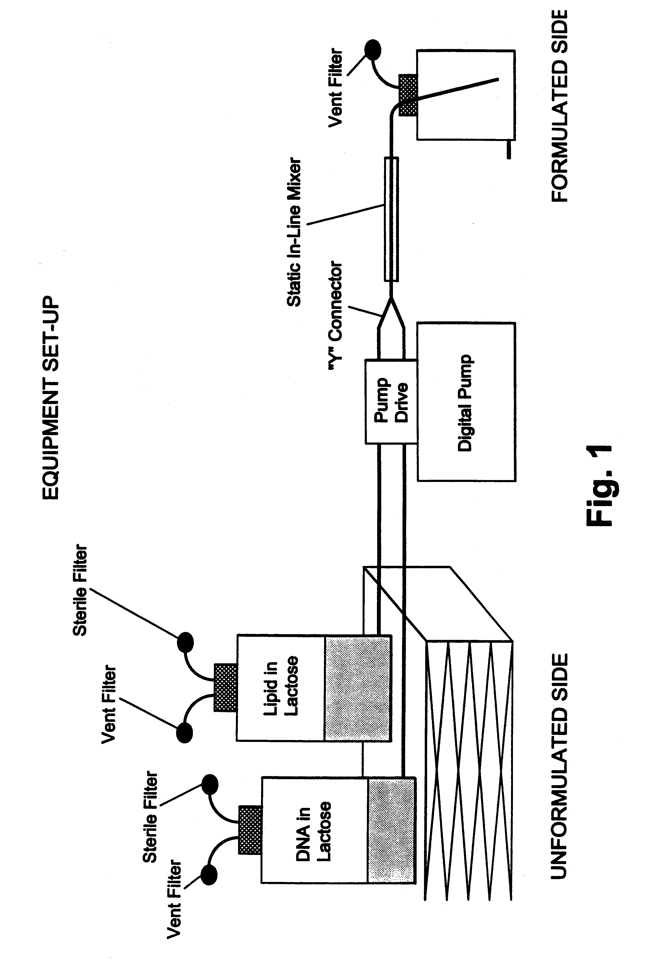 Protected one-vial formulation for nucleic acid molecules, methods of making the same by in-line mixing, and related products and methods