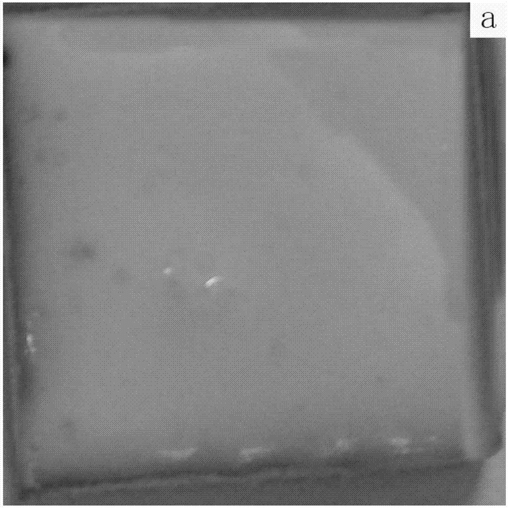 Fireproof filler based on molybdenum waste and fireproof coating