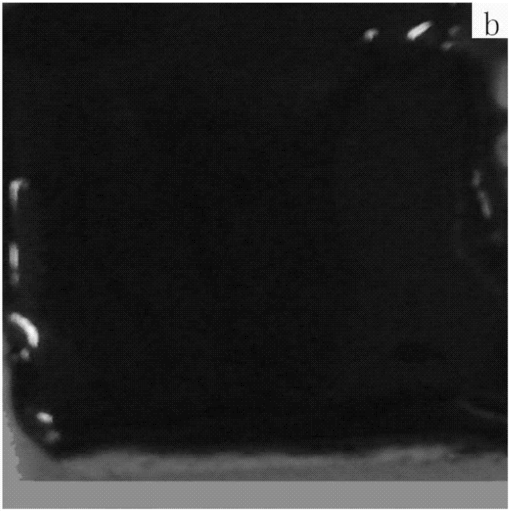 Fireproof filler based on molybdenum waste and fireproof coating