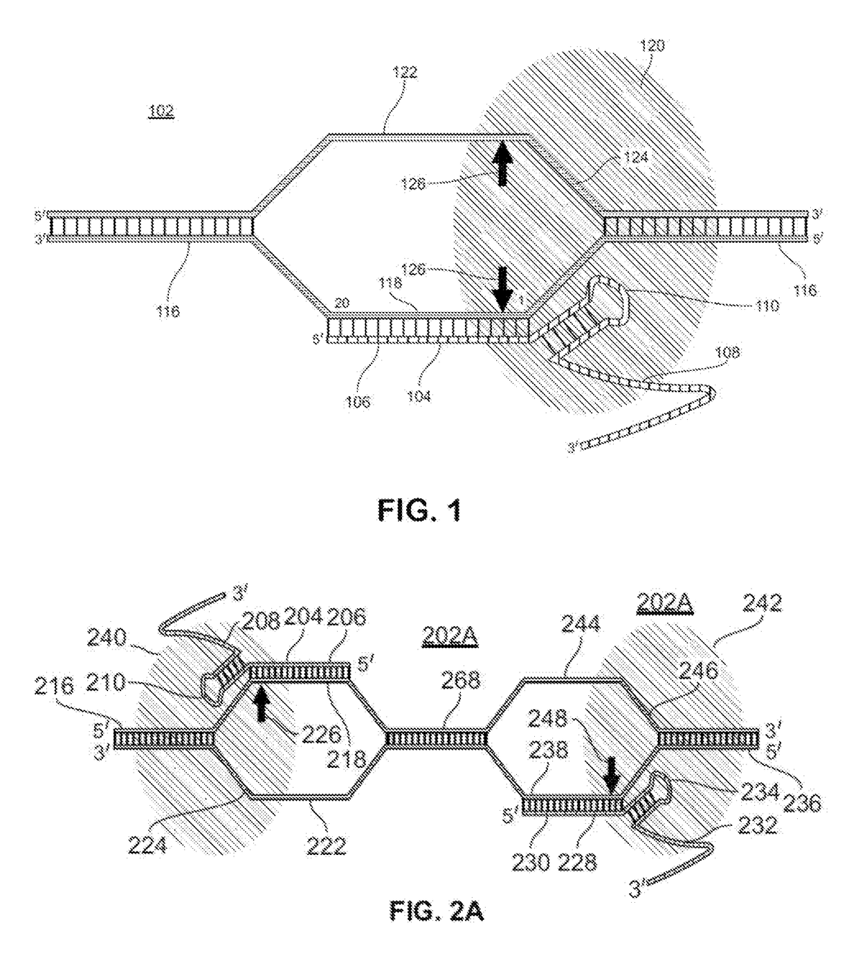 Methods and compositions for blocking off-target nucleic acids from cleavage by crispr proteins