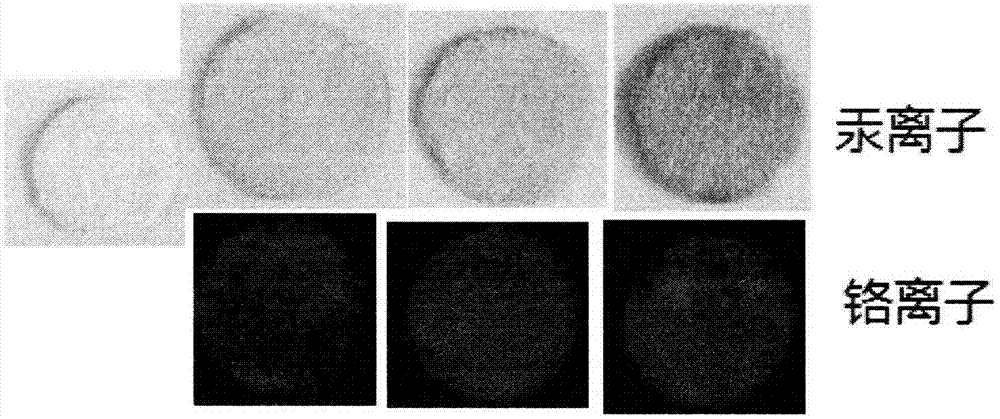 Application of heavy metal detection sensing material