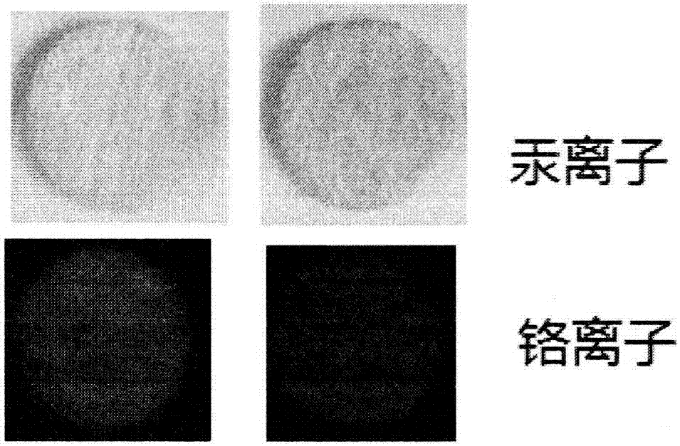 Application of heavy metal detection sensing material