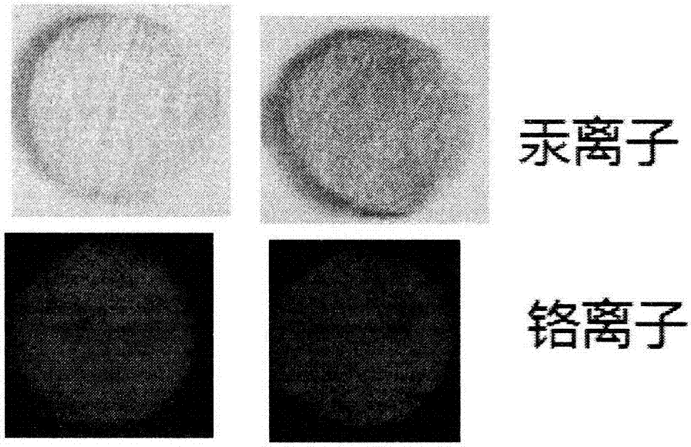 Application of heavy metal detection sensing material