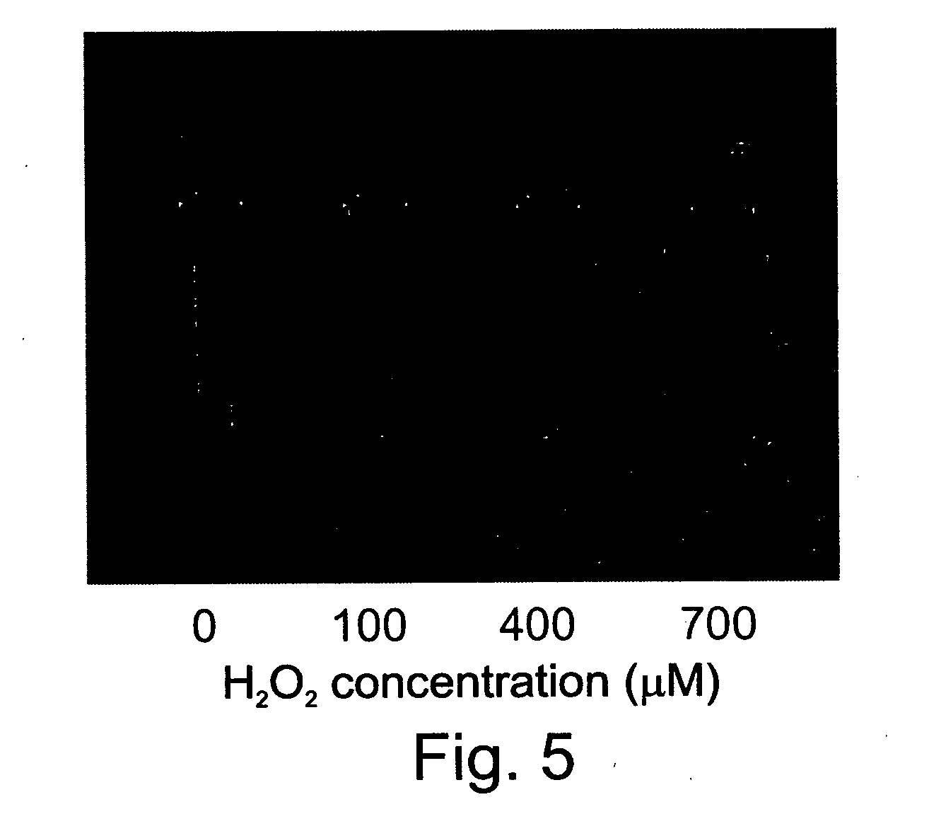 Methods of producing lignin peroxidase and its use in skin and hair lightening