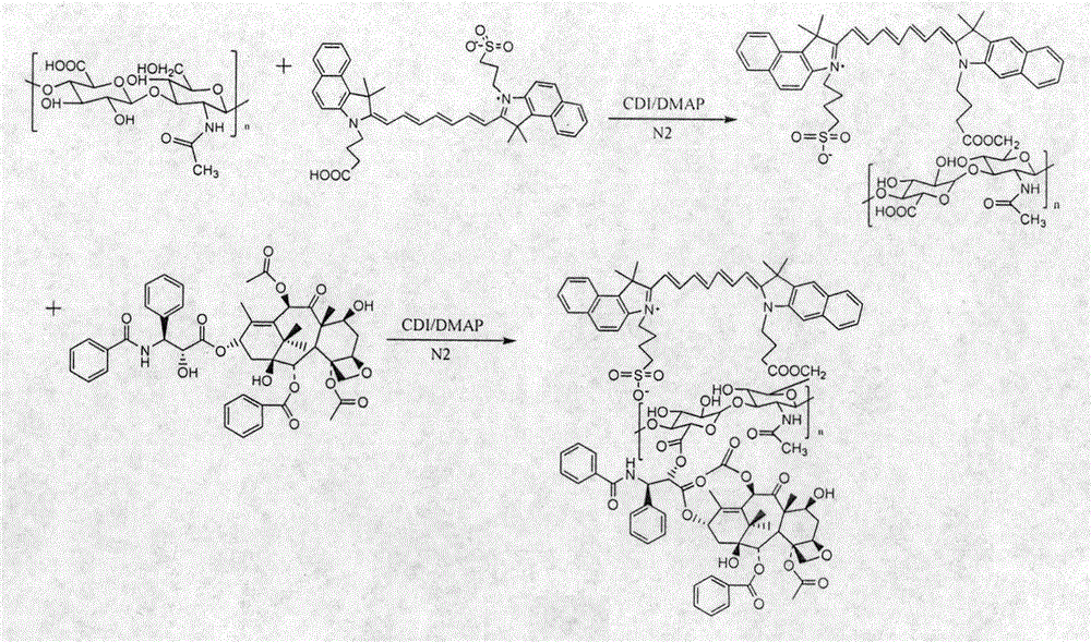 Preparation and characterization method of photosensitizer/antitumor drug self-assembled nano drug delivery system based on hyaluronic acid