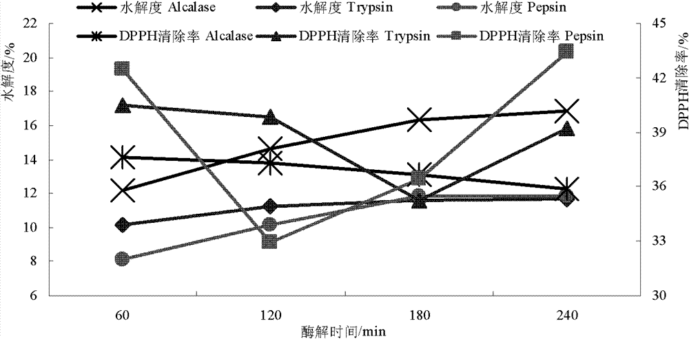 Method for preparing antioxidant peptides from oats by utilizing enzymatic membrane reactor