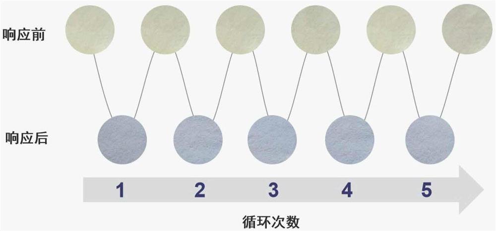 Ultralow-humidity visual detection material as well as preparation method and application thereof