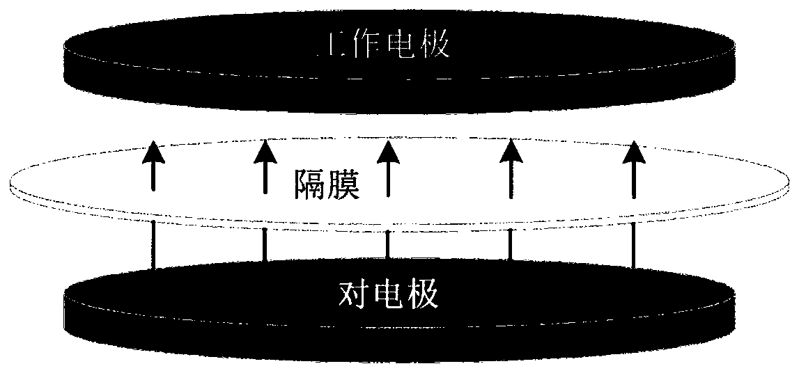 Electrode structure for in situ observation of lithium ion diffusion process